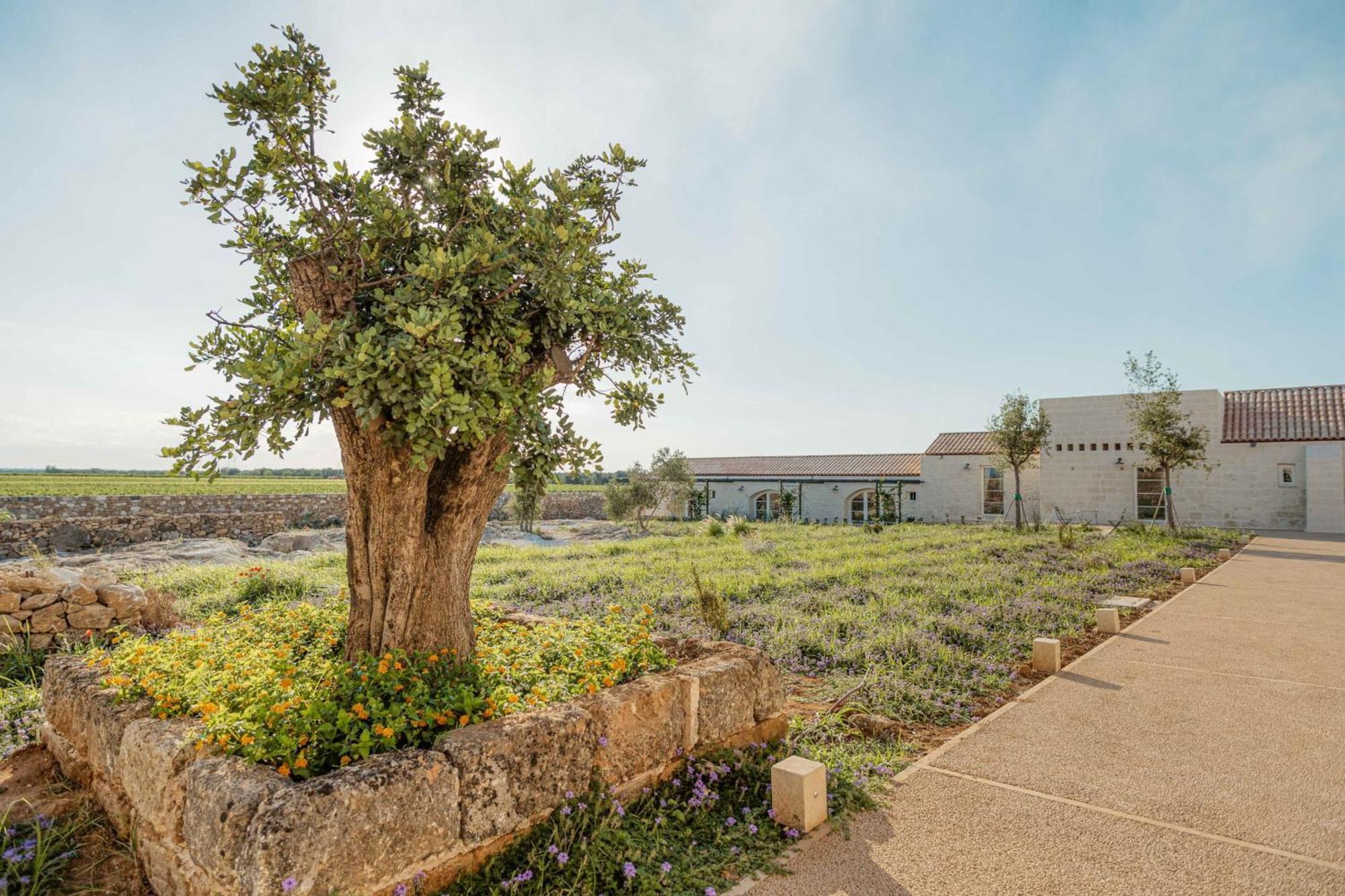 Masseria Vaccaro By Raro Villas - Self Check-In Brindisi Ngoại thất bức ảnh