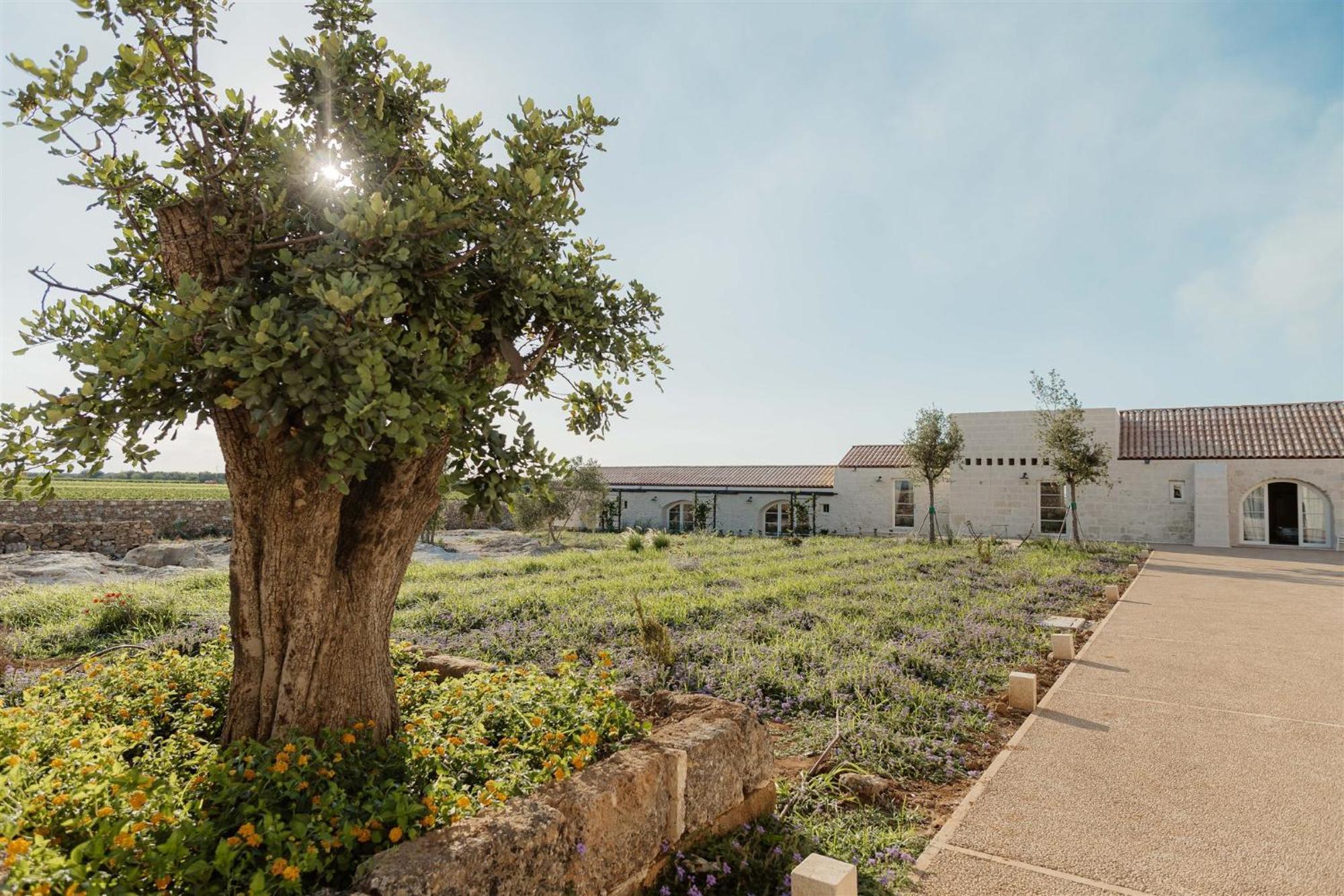 Masseria Vaccaro By Raro Villas - Self Check-In Brindisi Ngoại thất bức ảnh