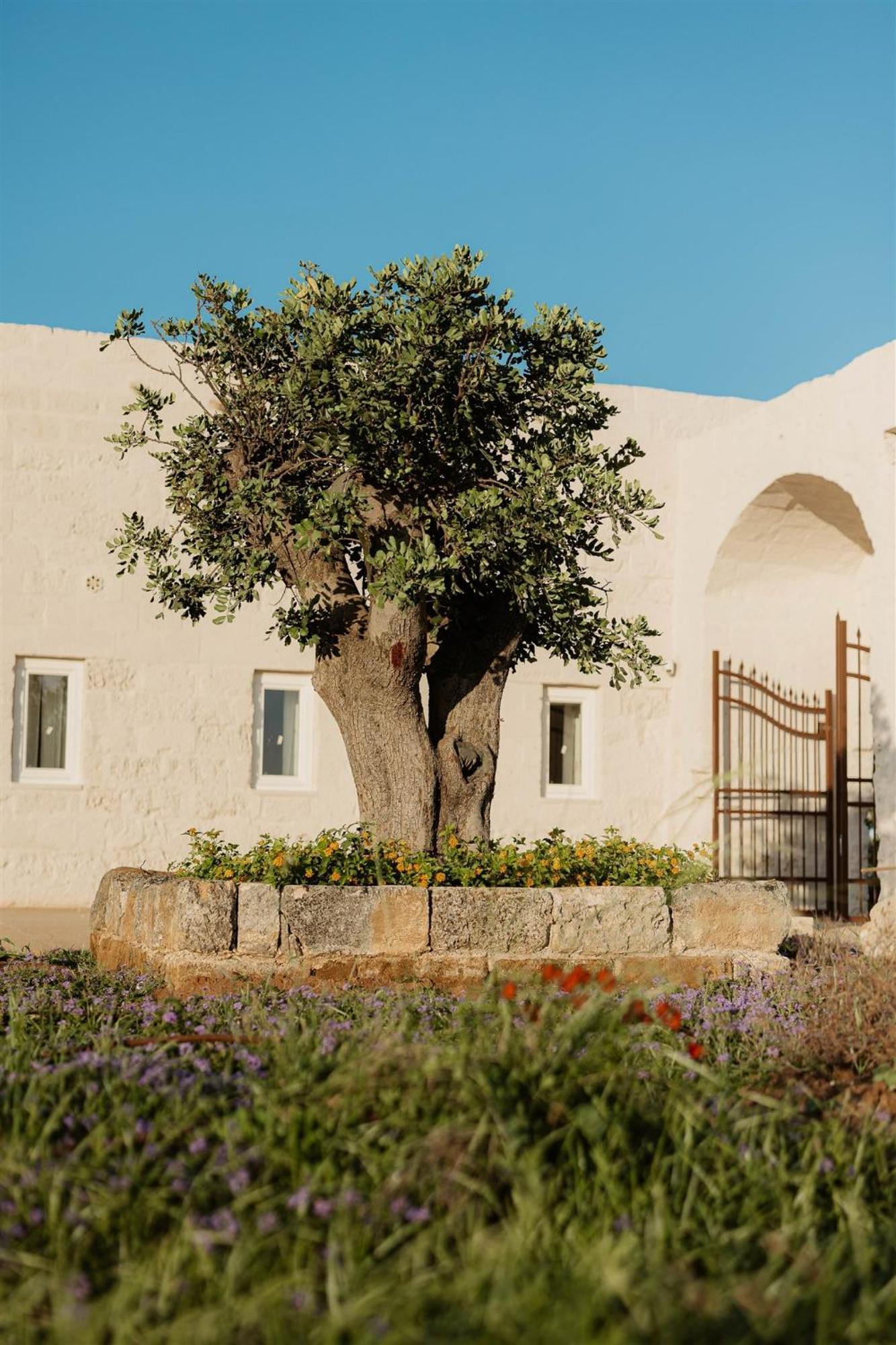 Masseria Vaccaro By Raro Villas - Self Check-In Brindisi Ngoại thất bức ảnh