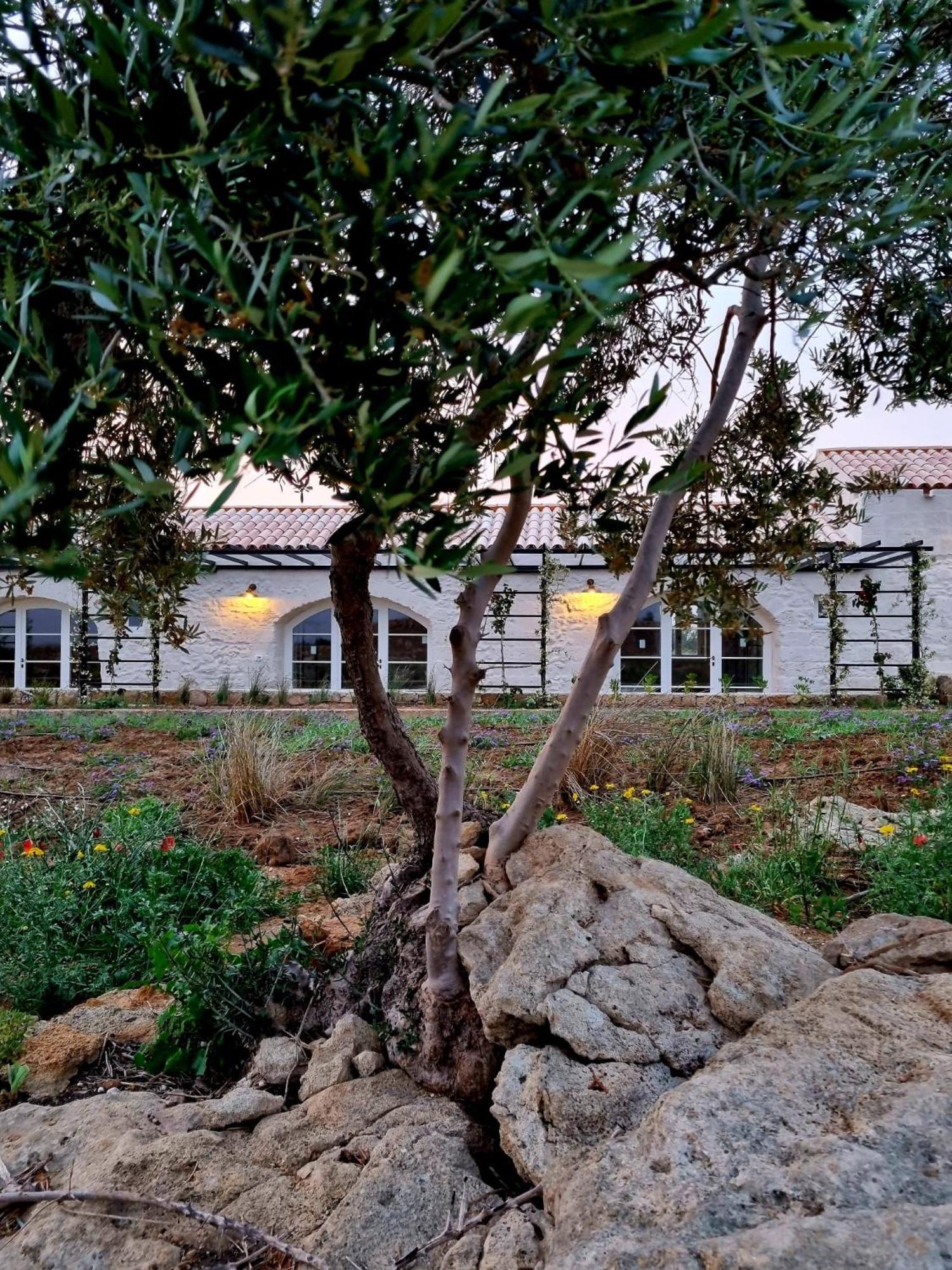 Masseria Vaccaro By Raro Villas - Self Check-In Brindisi Ngoại thất bức ảnh
